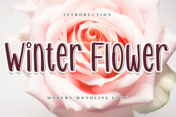 Winter Flower: A Playful Display Font for Warm, Human Branding
